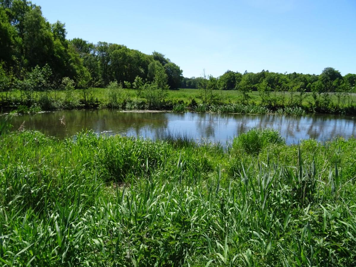 Haus Wald Und Wiese Wohnung Wiese Ehndorf Zewnętrze zdjęcie