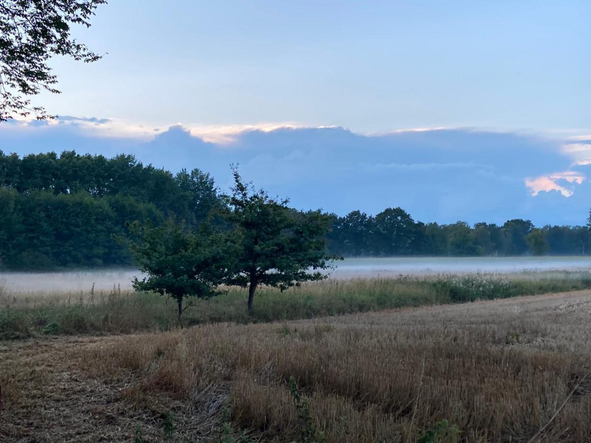 Haus Wald Und Wiese Wohnung Wiese Ehndorf Zewnętrze zdjęcie