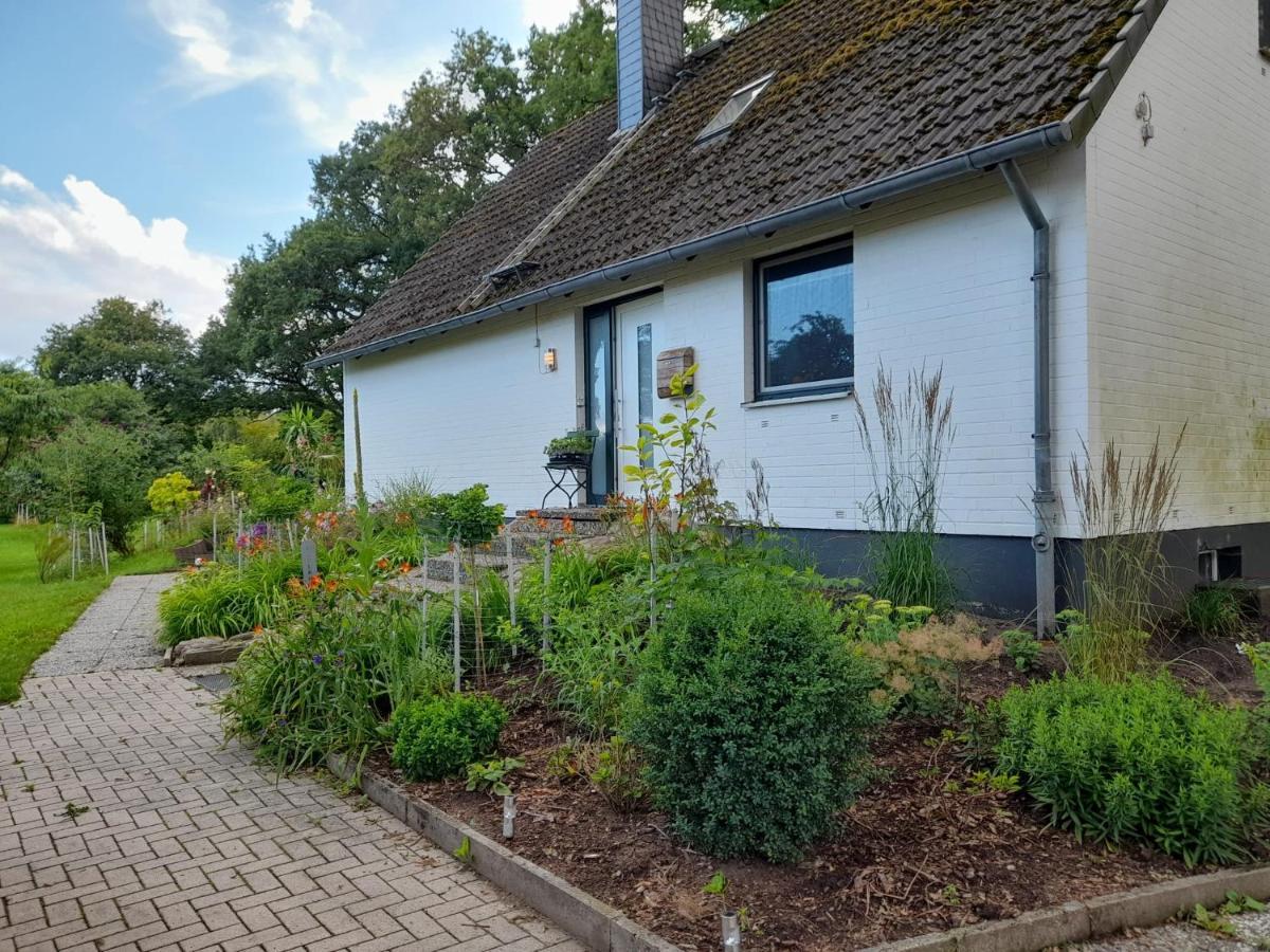 Haus Wald Und Wiese Wohnung Wiese Ehndorf Zewnętrze zdjęcie