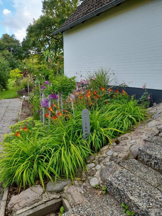 Haus Wald Und Wiese Wohnung Wiese Ehndorf Zewnętrze zdjęcie